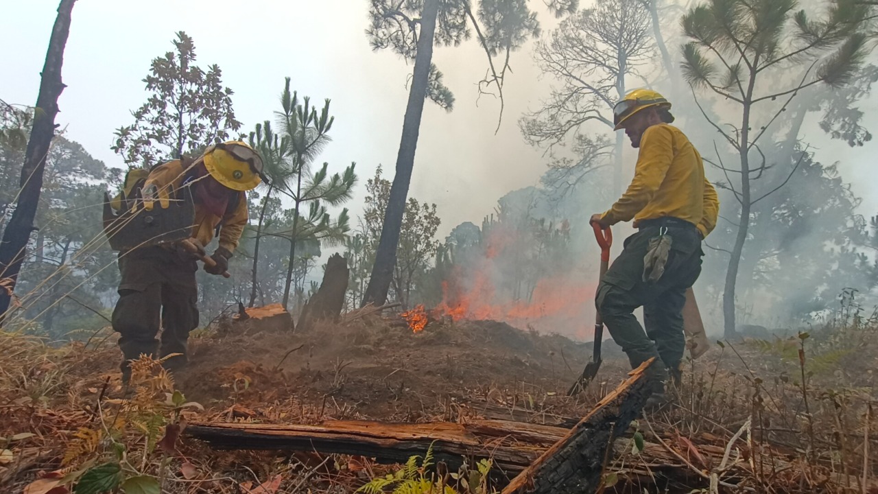 Se Tienen Cuatro Incendios Forestales Activos Y Cuatro Fueron