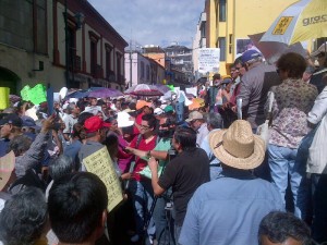 MANIFESTACION  IMPUESTOS MUNICIPALES