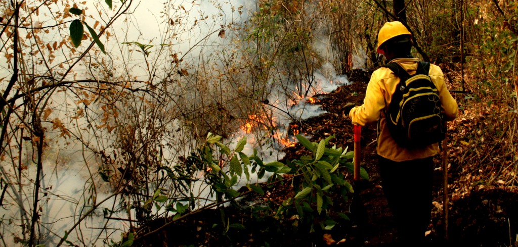 INCENDIOS TEPOZTLAN (1)