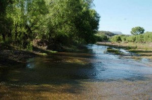 RÍO SONORA