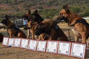 Unidad Canina de la Comisión Estatal de Seguridad Pública (1)