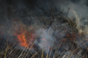 SDS-PREVENCIÓN INCENDIOS  (3)