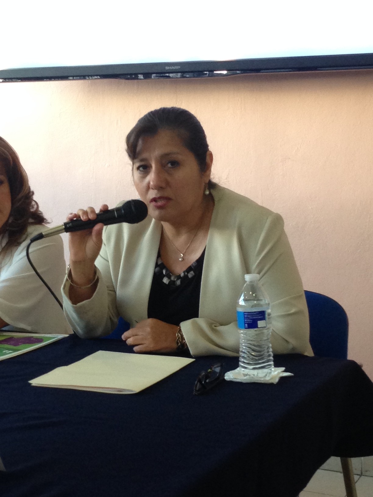 Elizabeth Rodríguez Hortiales coordinadora general del Sistema Estatal Sanitario de la COPRISEM