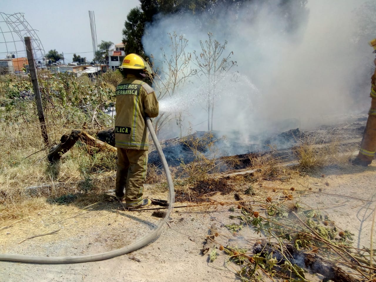 Bomberos Sofocan Incendio En Chamilpa – Zona Centro Noticias