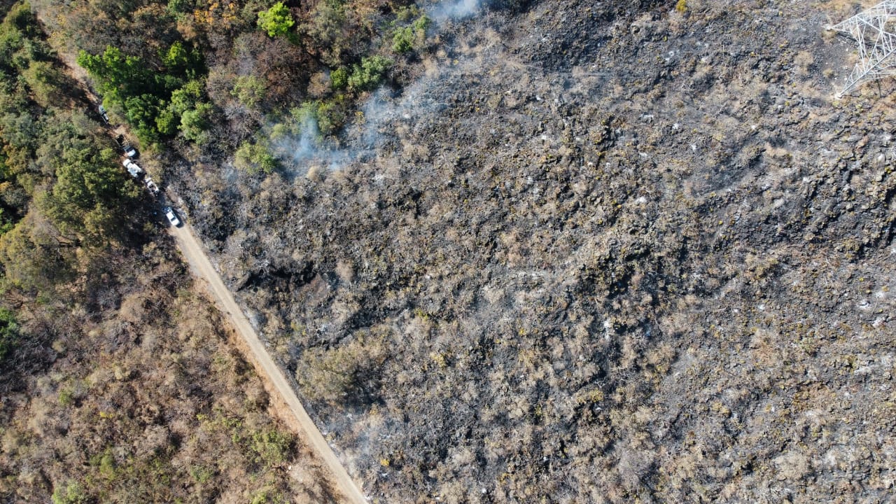 Incendio Forestal En El Paraje “la Pera” De Tepoztlán Tiene 100 Por Ciento De Control Y Un 60 5149