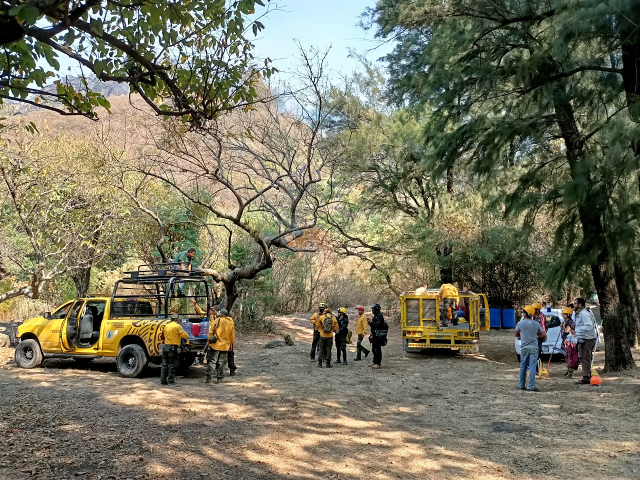 Incendio Forestal En Tepoztlan Se Tiene 20 Por Ciento De Control Y 10 Por Ciento De Liquidación 2603