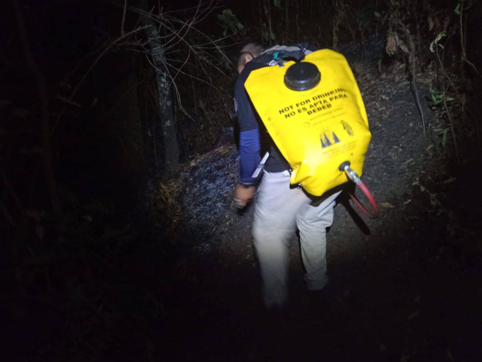 Detectan Dos Incendios Forestales En El Cerro De Las Tirolesas Y En San Juan Tlacotenco De 2904