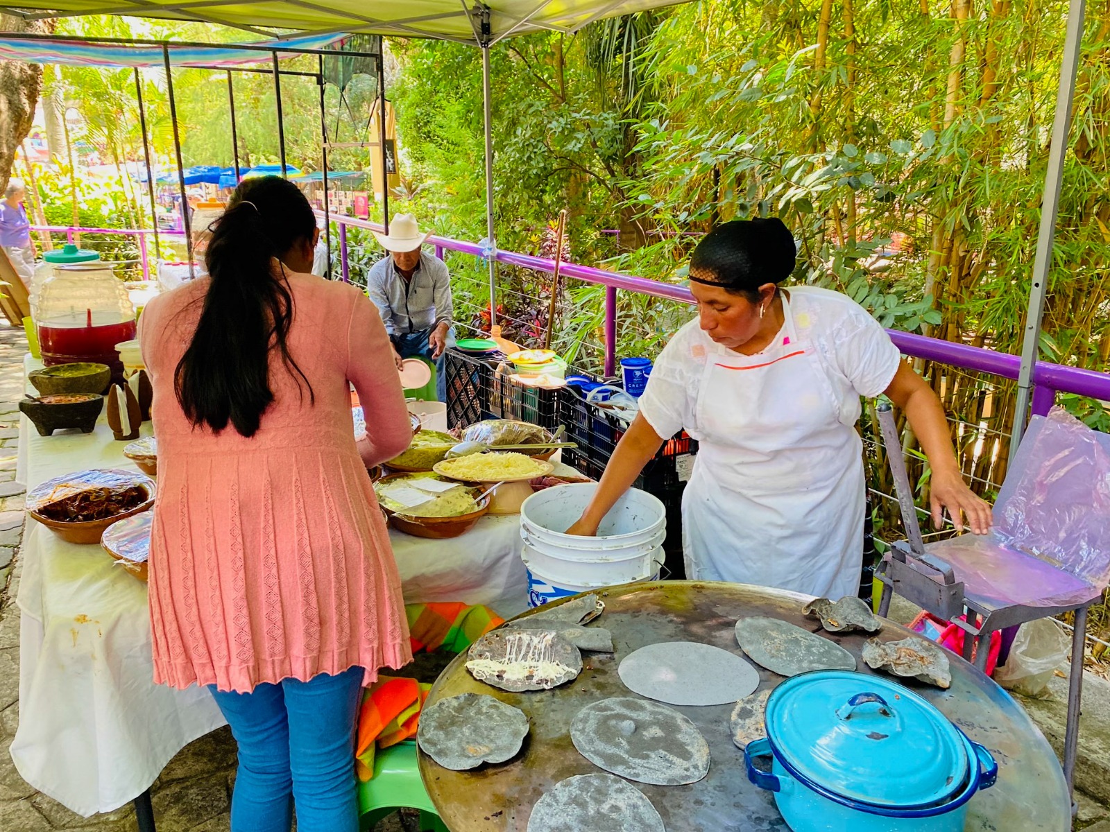 Alimentos de consumo inmediato  Biodiversidad, Morelos. COESBIO