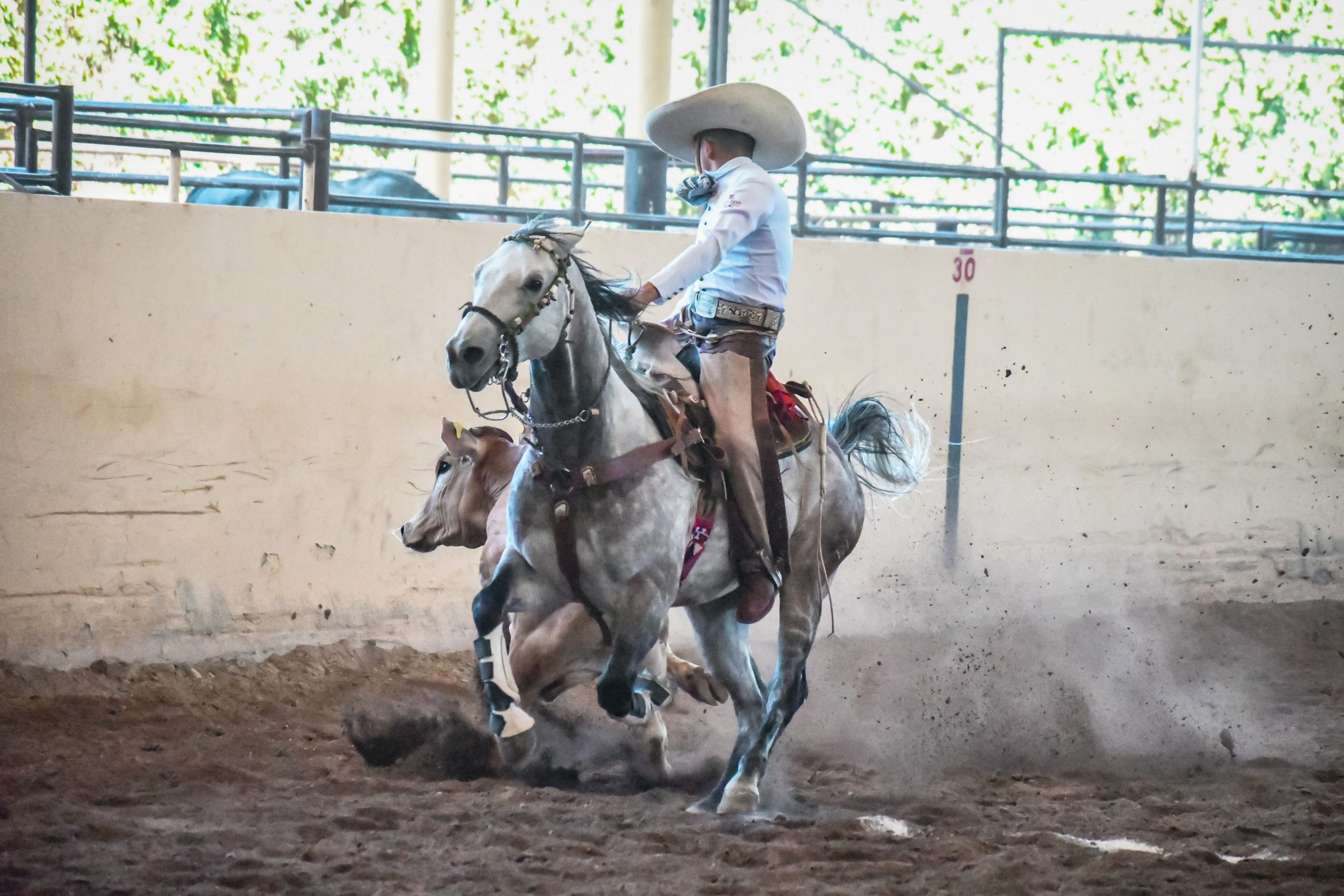 Consiguen charros morelenses histórico oro en Nacionales Conade 2024